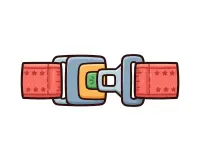 seat belt